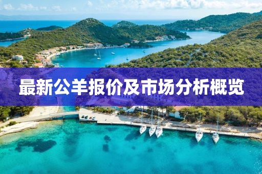 最新公羊報(bào)價(jià)及市場(chǎng)分析概覽