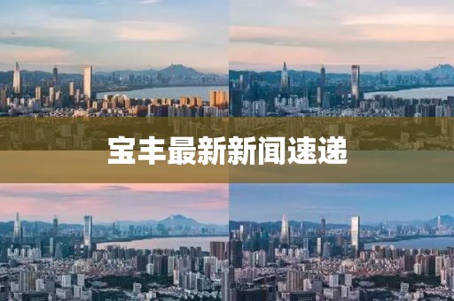 寶豐最新新聞速遞