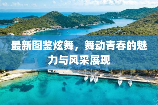 最新圖鑒炫舞，舞動(dòng)青春的魅力與風(fēng)采展現(xiàn)