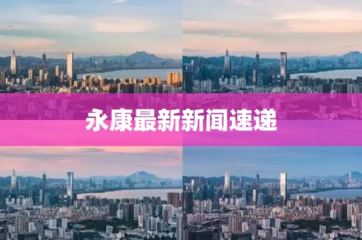 永康最新新聞速遞