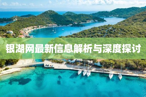 銀湖網(wǎng)最新信息解析與深度探討