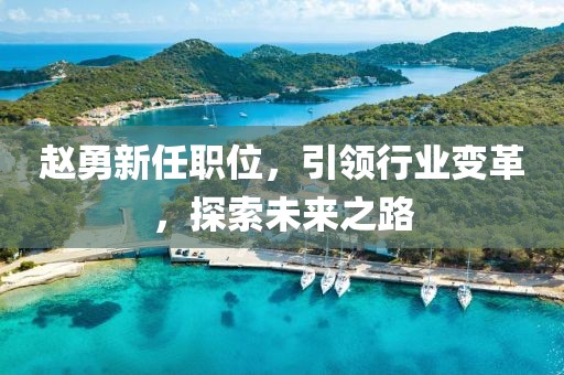 趙勇新任職位，引領(lǐng)行業(yè)變革，探索未來之路