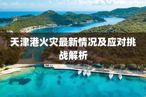天津港火災(zāi)最新情況及應(yīng)對(duì)挑戰(zhàn)解析