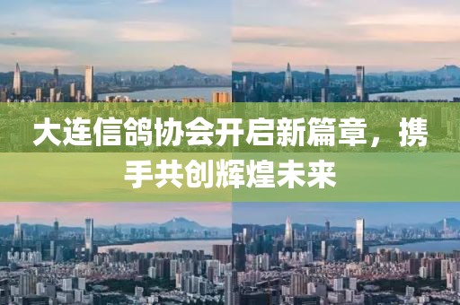 大連信鴿協(xié)會開啟新篇章，攜手共創(chuàng)輝煌未來