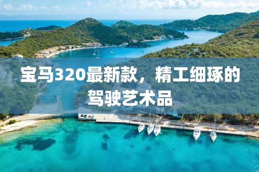 寶馬320最新款，精工細(xì)琢的駕駛藝術(shù)品