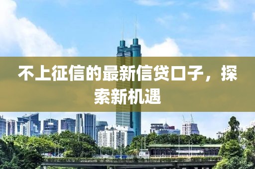 不上征信的最新信貸口子，探索新機(jī)遇