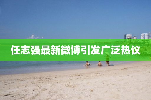 任志強(qiáng)最新微博引發(fā)廣泛熱議