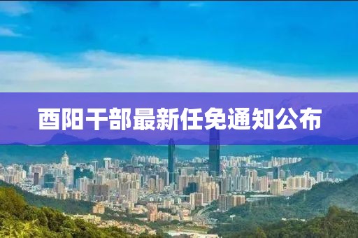 酉陽干部最新任免通知公布