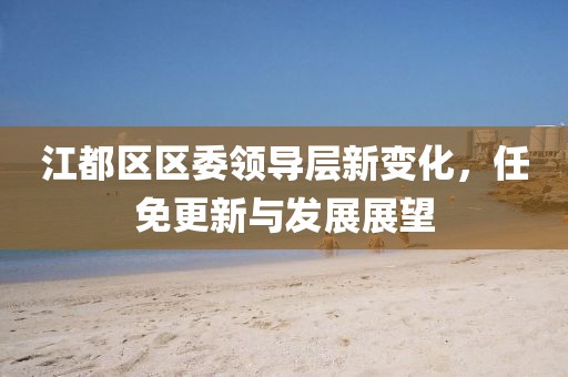 江都區(qū)區(qū)委領(lǐng)導(dǎo)層新變化，任免更新與發(fā)展展望