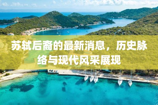 蘇軾后裔的最新消息，歷史脈絡(luò)與現(xiàn)代風采展現(xiàn)