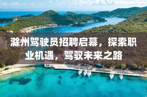 滁州駕駛員招聘啟幕，探索職業(yè)機(jī)遇，駕馭未來(lái)之路