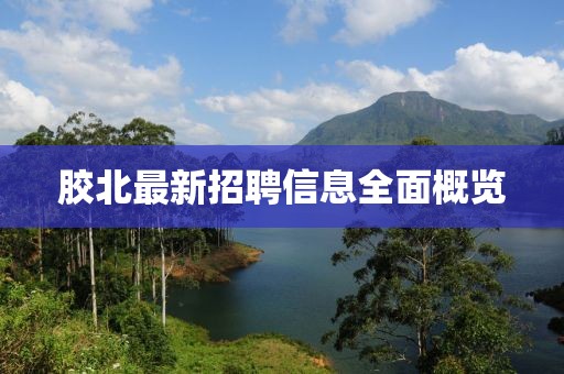 膠北最新招聘信息全面概覽