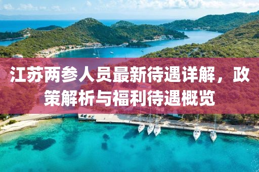 江蘇兩參人員最新待遇詳解，政策解析與福利待遇概覽
