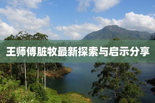 王師傅臟牧最新探索與啟示分享