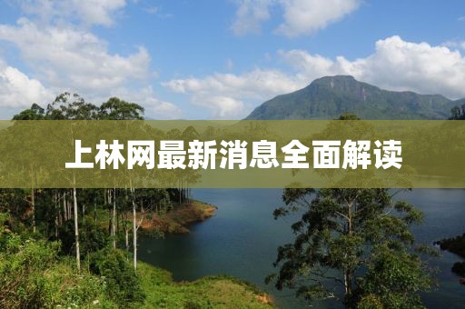 上林網(wǎng)最新消息全面解讀