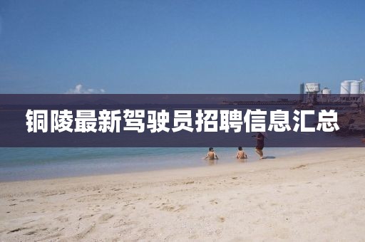 銅陵最新駕駛員招聘信息匯總