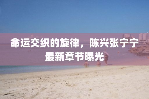 命運交織的旋律，陳興張寧寧最新章節(jié)曝光