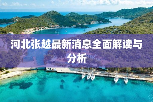 河北張?jiān)阶钚孪⑷娼庾x與分析
