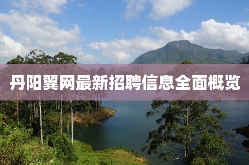 丹陽(yáng)翼網(wǎng)最新招聘信息全面概覽