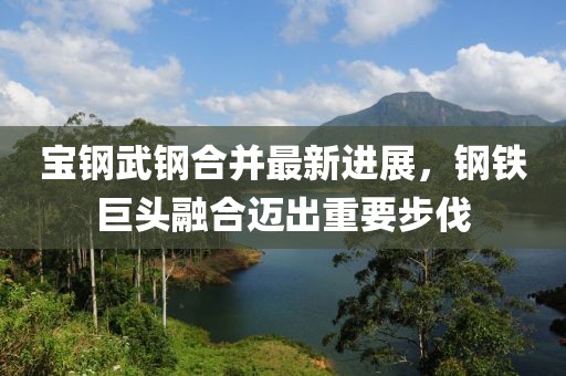 寶鋼武鋼合并最新進展，鋼鐵巨頭融合邁出重要步伐