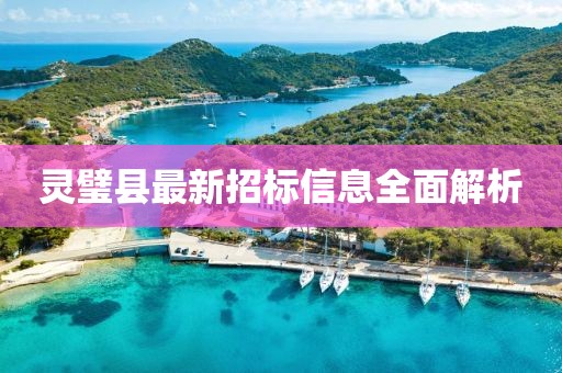 靈璧縣最新招標(biāo)信息全面解析
