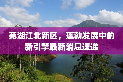 蕪湖江北新區(qū)，蓬勃發(fā)展中的新引擎最新消息速遞