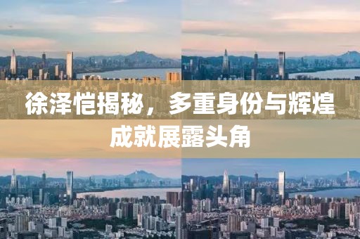 徐澤愷揭秘，多重身份與輝煌成就展露頭角
