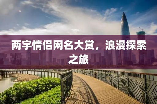 兩字情侶網(wǎng)名大賞，浪漫探索之旅