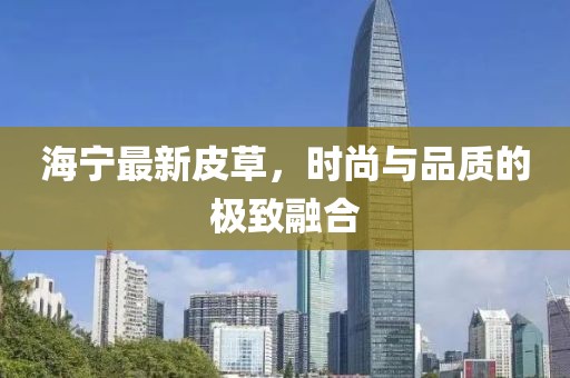 海寧最新皮草，時尚與品質(zhì)的極致融合