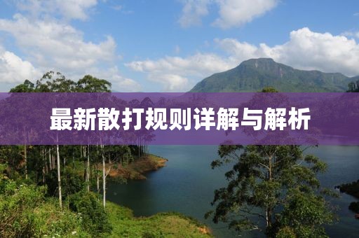 最新散打規(guī)則詳解與解析