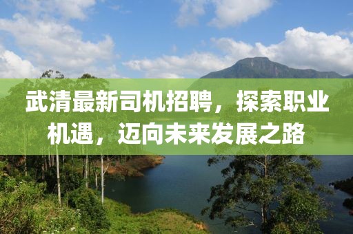 武清最新司機招聘，探索職業(yè)機遇，邁向未來發(fā)展之路