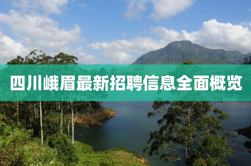 四川峨眉最新招聘信息全面概覽