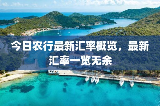今日農(nóng)行最新匯率概覽，最新匯率一覽無余