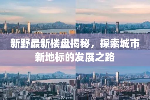 新野最新樓盤揭秘，探索城市新地標(biāo)的發(fā)展之路