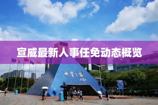 宣威最新人事任免動態(tài)概覽