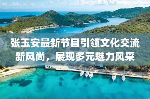 張玉安最新節(jié)目引領文化交流新風尚，展現(xiàn)多元魅力風采
