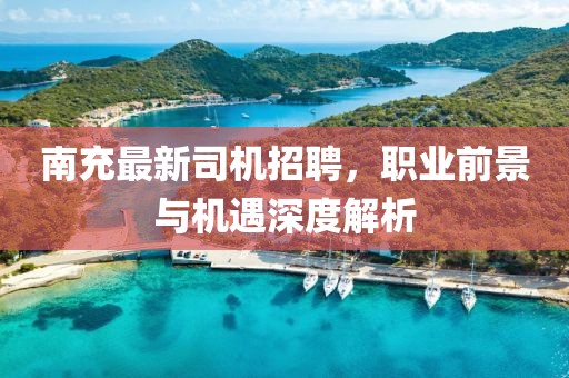 南充最新司機招聘，職業(yè)前景與機遇深度解析