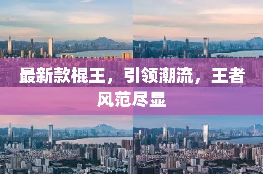 最新款棍王，引領(lǐng)潮流，王者風范盡顯