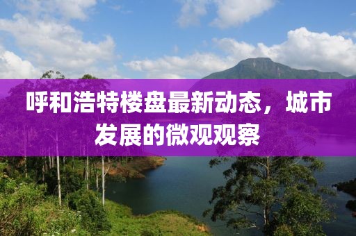 呼和浩特樓盤最新動態(tài)，城市發(fā)展的微觀觀察