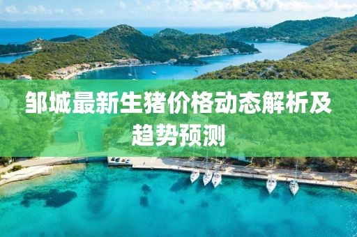 鄒城最新生豬價(jià)格動(dòng)態(tài)解析及趨勢(shì)預(yù)測(cè)