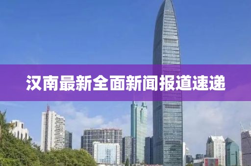 漢南最新全面新聞報道速遞