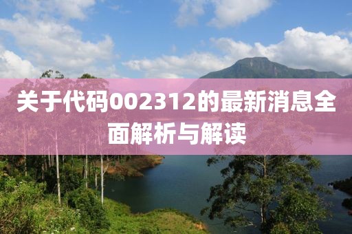 關(guān)于代碼002312的最新消息全面解析與解讀