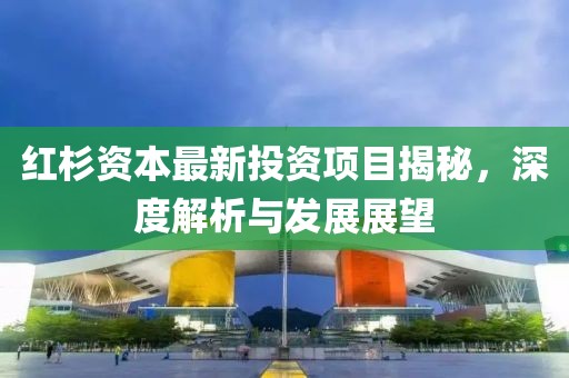 紅杉資本最新投資項目揭秘，深度解析與發(fā)展展望