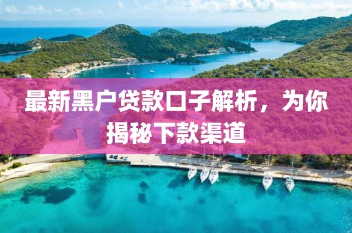 最新黑戶貸款口子解析，為你揭秘下款渠道