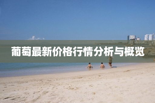 葡萄最新價格行情分析與概覽