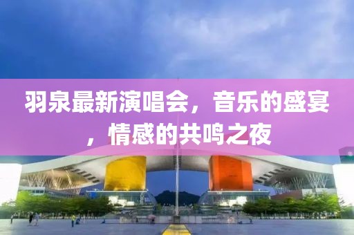 羽泉最新演唱會，音樂的盛宴，情感的共鳴之夜