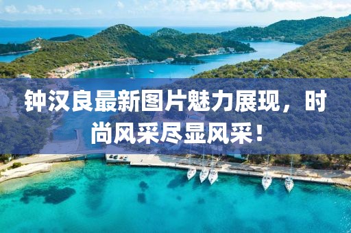 鐘漢良最新圖片魅力展現(xiàn)，時(shí)尚風(fēng)采盡顯風(fēng)采！