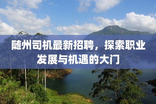 隨州司機最新招聘，探索職業(yè)發(fā)展與機遇的大門