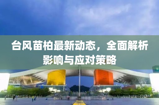 臺風(fēng)苗柏最新動態(tài)，全面解析影響與應(yīng)對策略