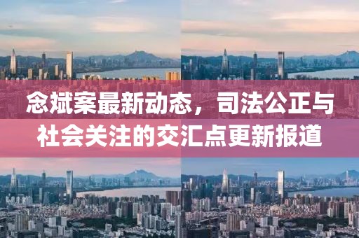 念斌案最新動態(tài)，司法公正與社會關(guān)注的交匯點更新報道
